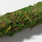 Green Moss Pole Climbing Plant Stake Verdant Lyfe