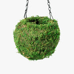 Fresh Green Kokedama Moss Hanging Planter Ball Verdant Lyfe