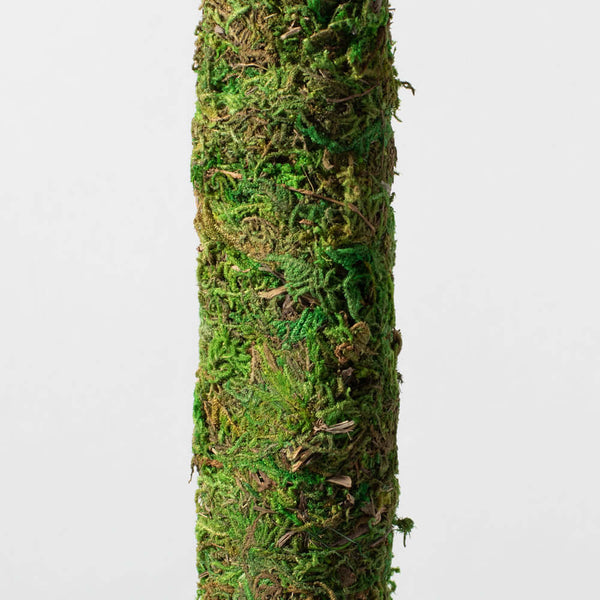 green moss pole Moss Pole Green 18"