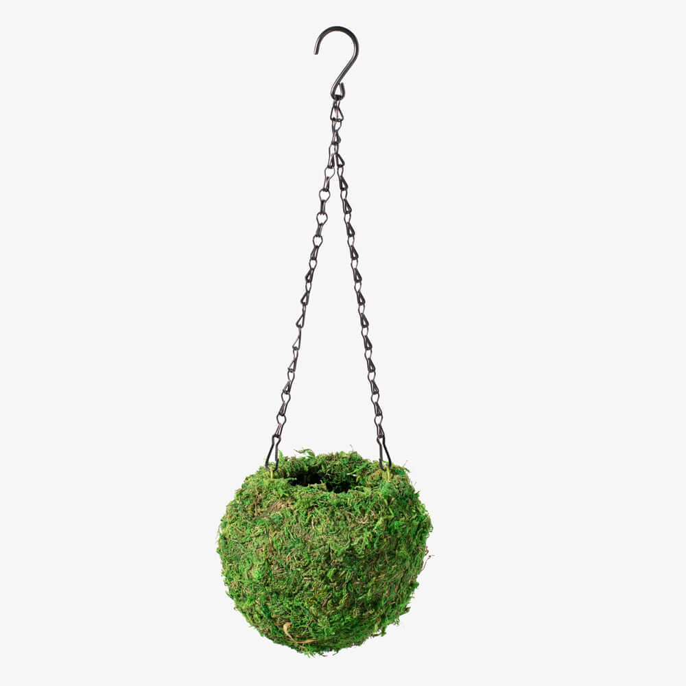 Fresh Green Kokedama Moss Hanging Planter Ball Verdant Lyfe