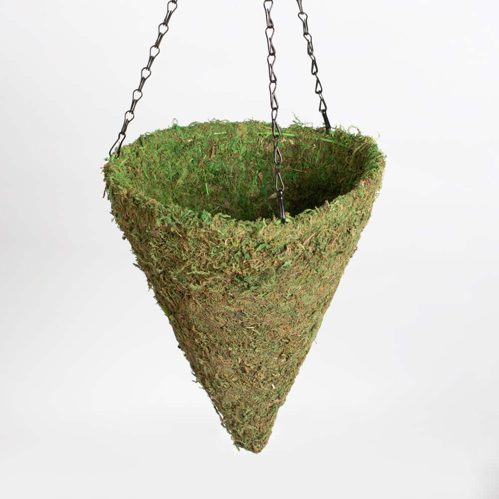 Fresh Green Moss Ball Hanging Cone Basket Triangle Planter Verdant Lyfe