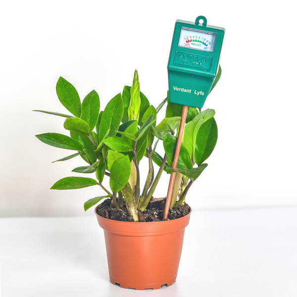 indoor plant moisture meter Soil Moisture Meter Overwatering Plant Saver
