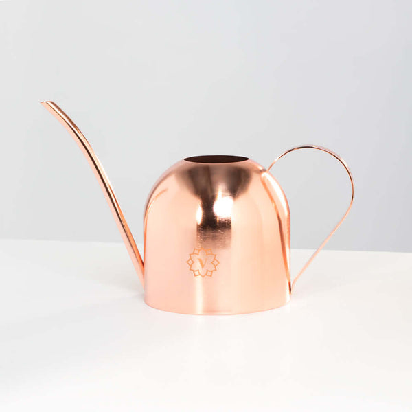 indoor plant watering can and mister Lyfe Watering Can & Mister Bundle Rose Gold