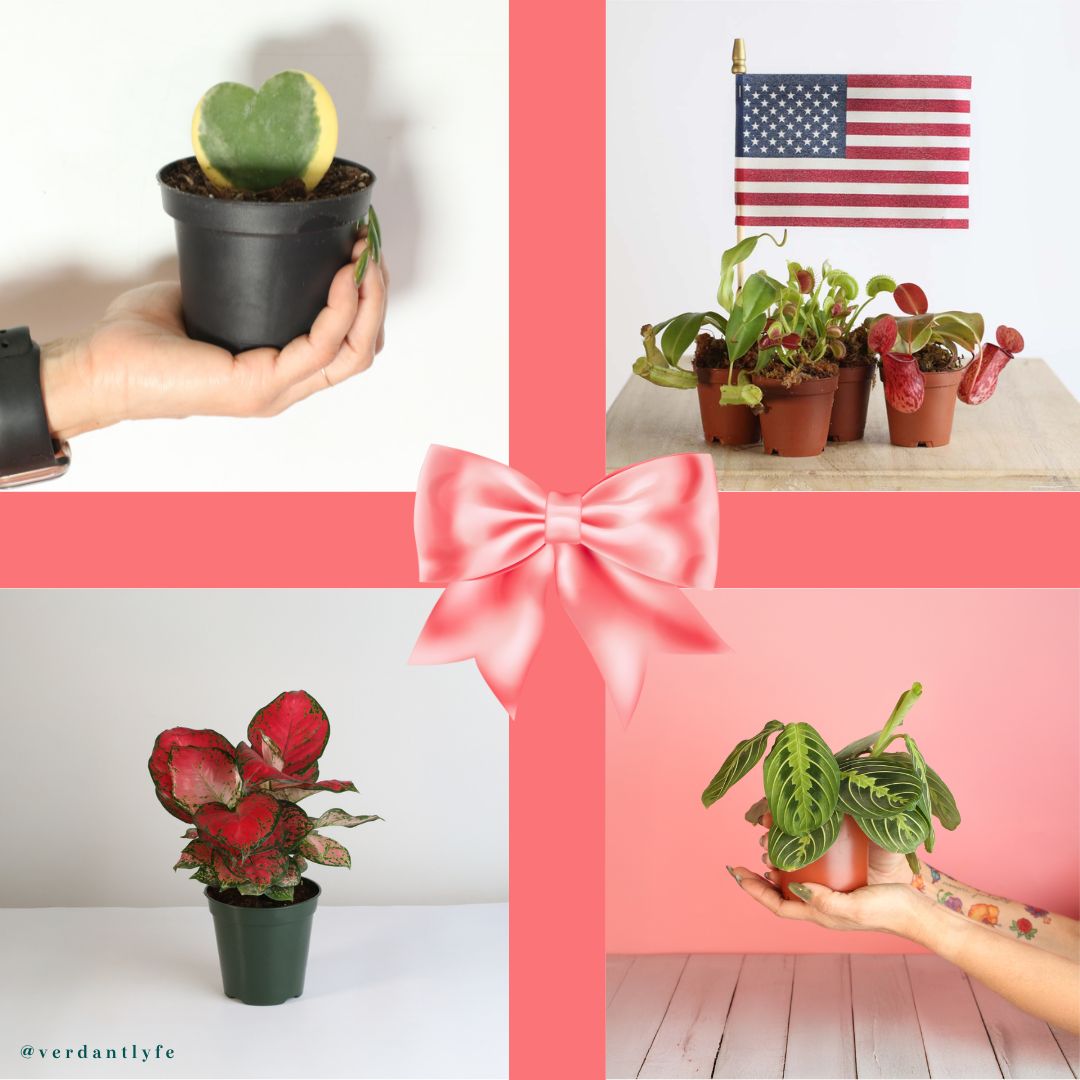 Honoring Growth and Remembrance