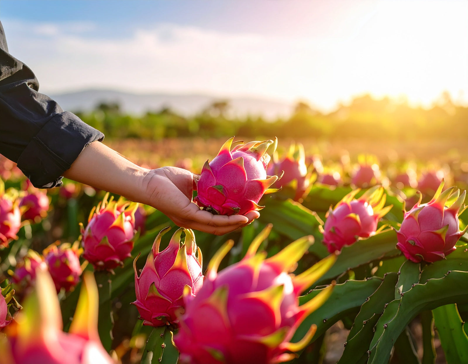 Revolutionize Your Garden with These Fruit Plants