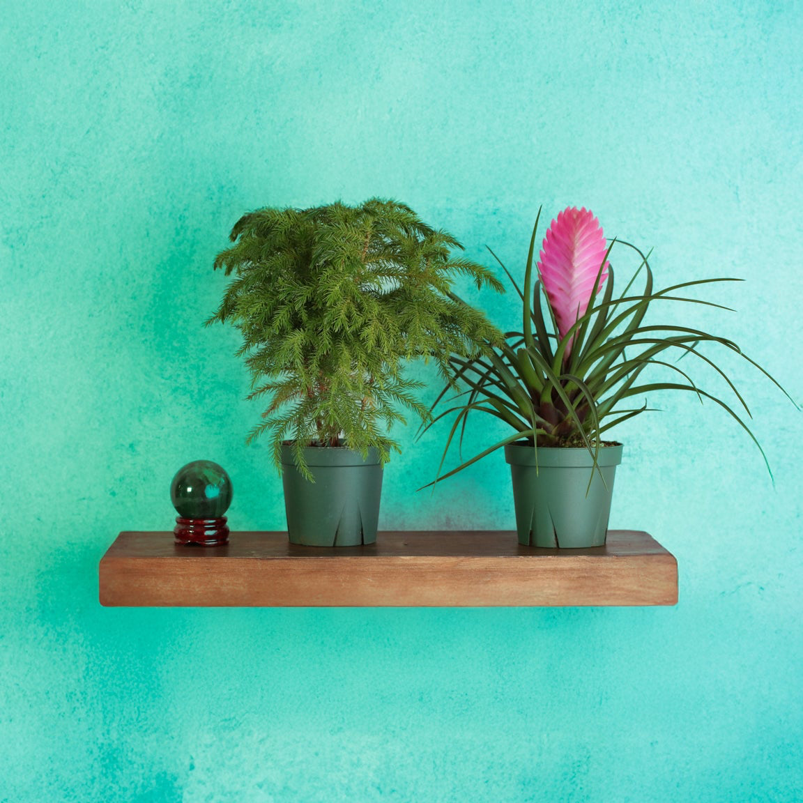 Bring Home the Magic of the Holidays with Our Festive Holiday Bundle!