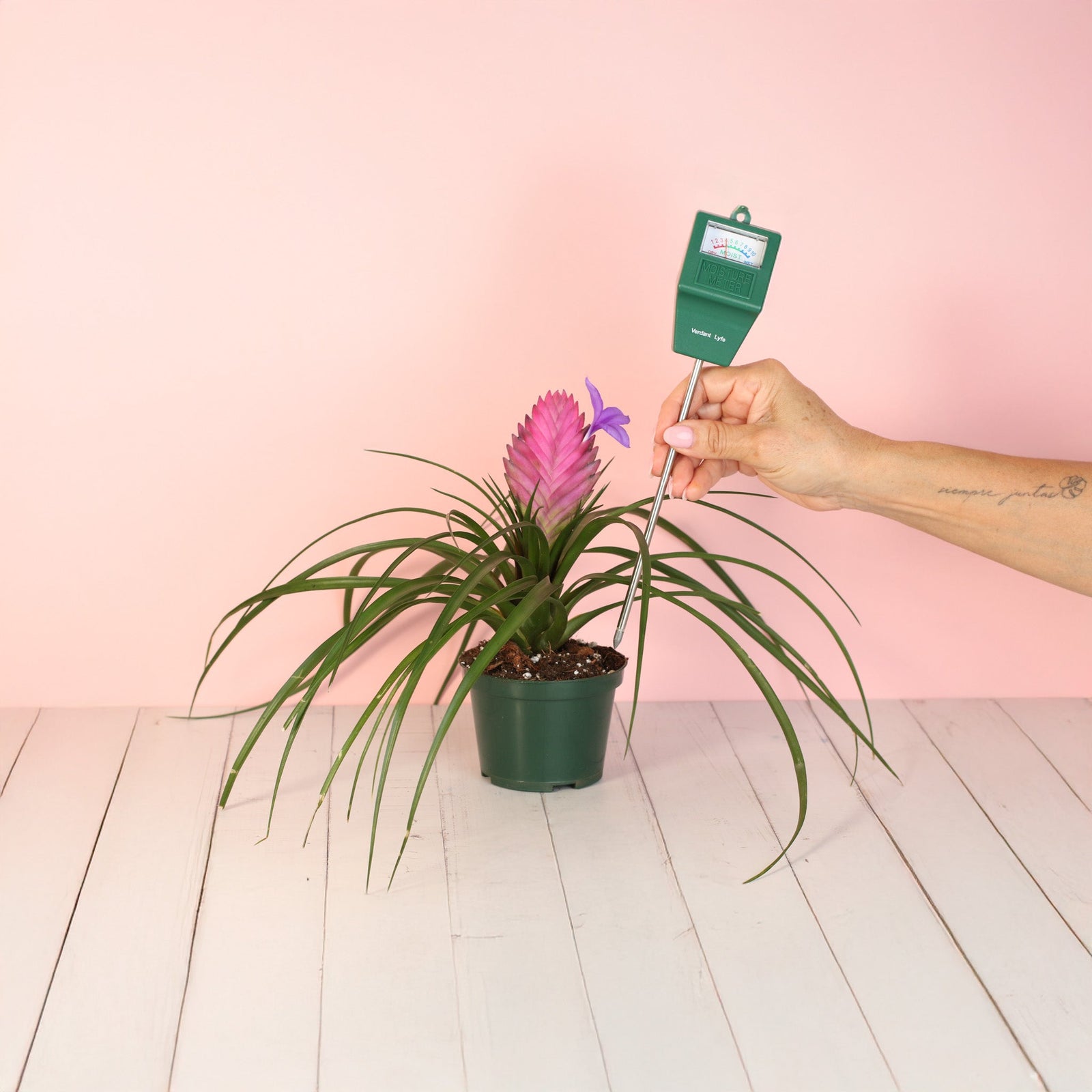 Picking the Perfect Mother’s Day Gift at Verdant Lyfe