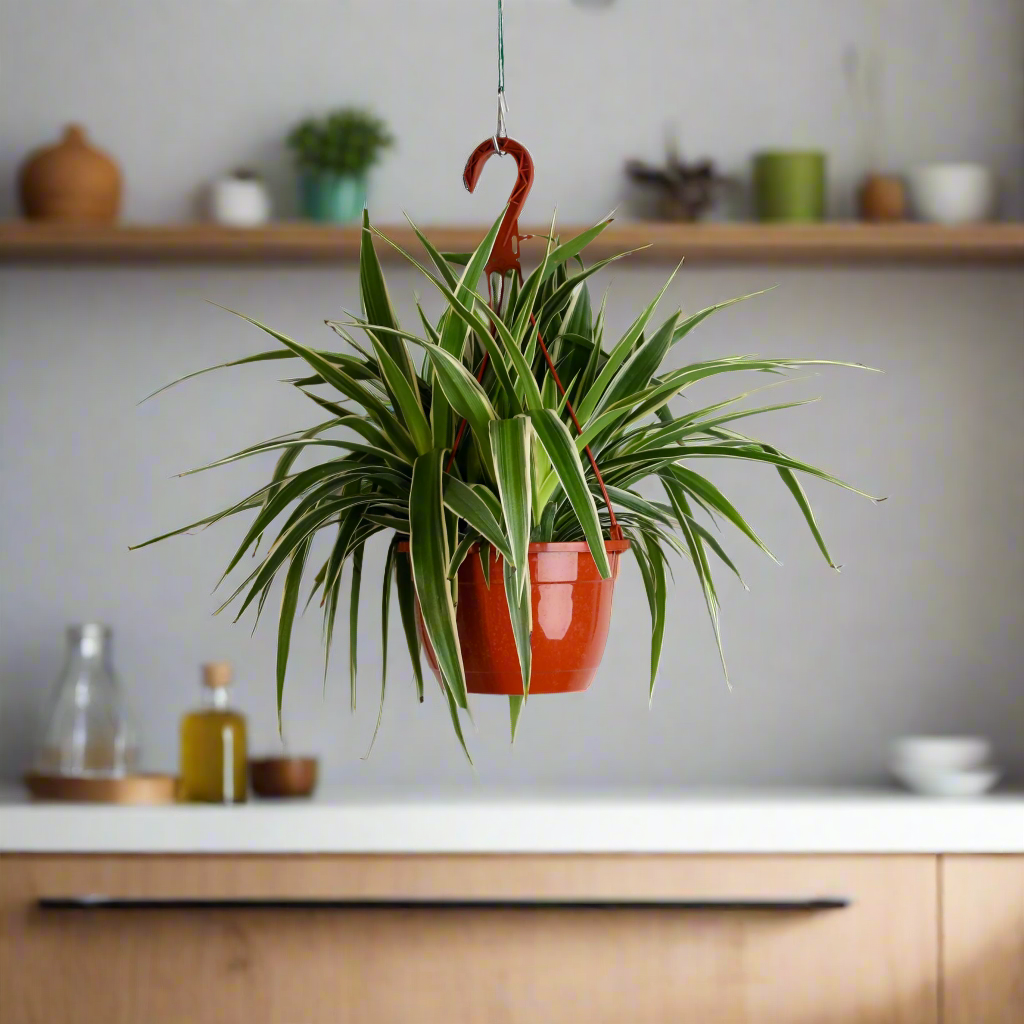 9 Pet-Safe Houseplants That Are Non-Toxic to Cats and Dogs
