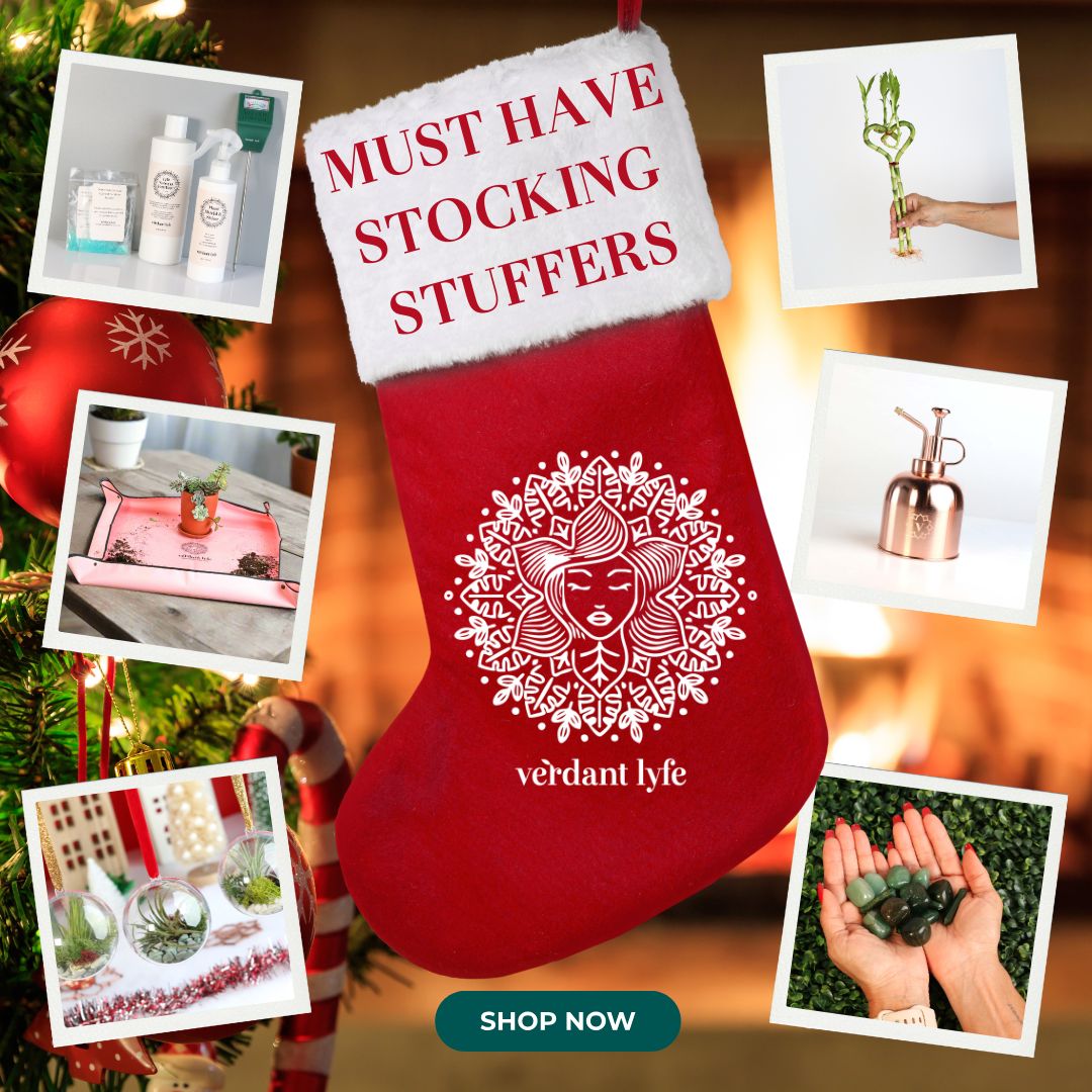 Must Have Stocking Stuffers this Christmas