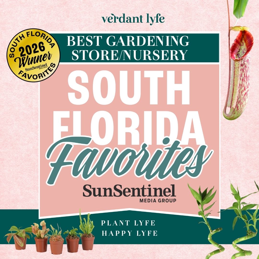 Verdant Lyfe Wins GOLD for Best Gardening Store/Nursery in South Florida!