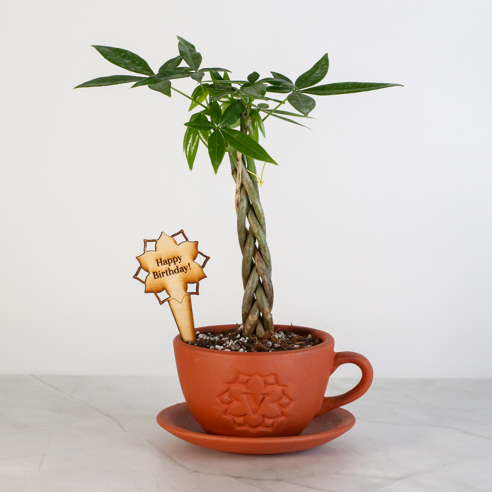 Verdant Lyfe Turns 5!