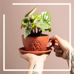 Planters & Pots In Every Shape and Size to Grow Your Garden
