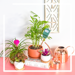 Spring Ready Plant Picks