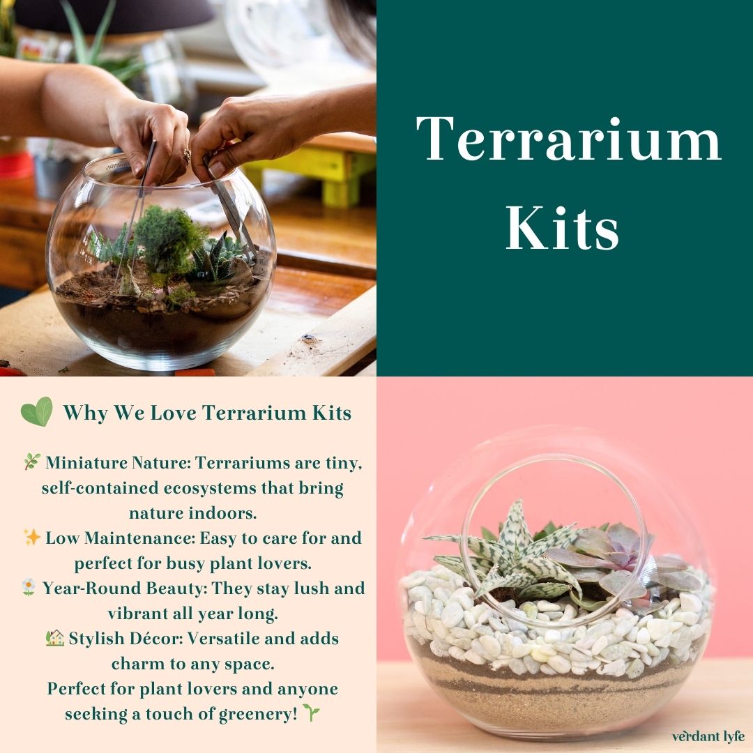 Terrariums
