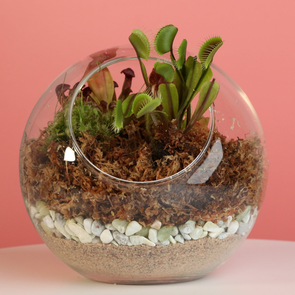 Terrarium Workshop - Thursday, TBD, 2026 at 6:00 pm