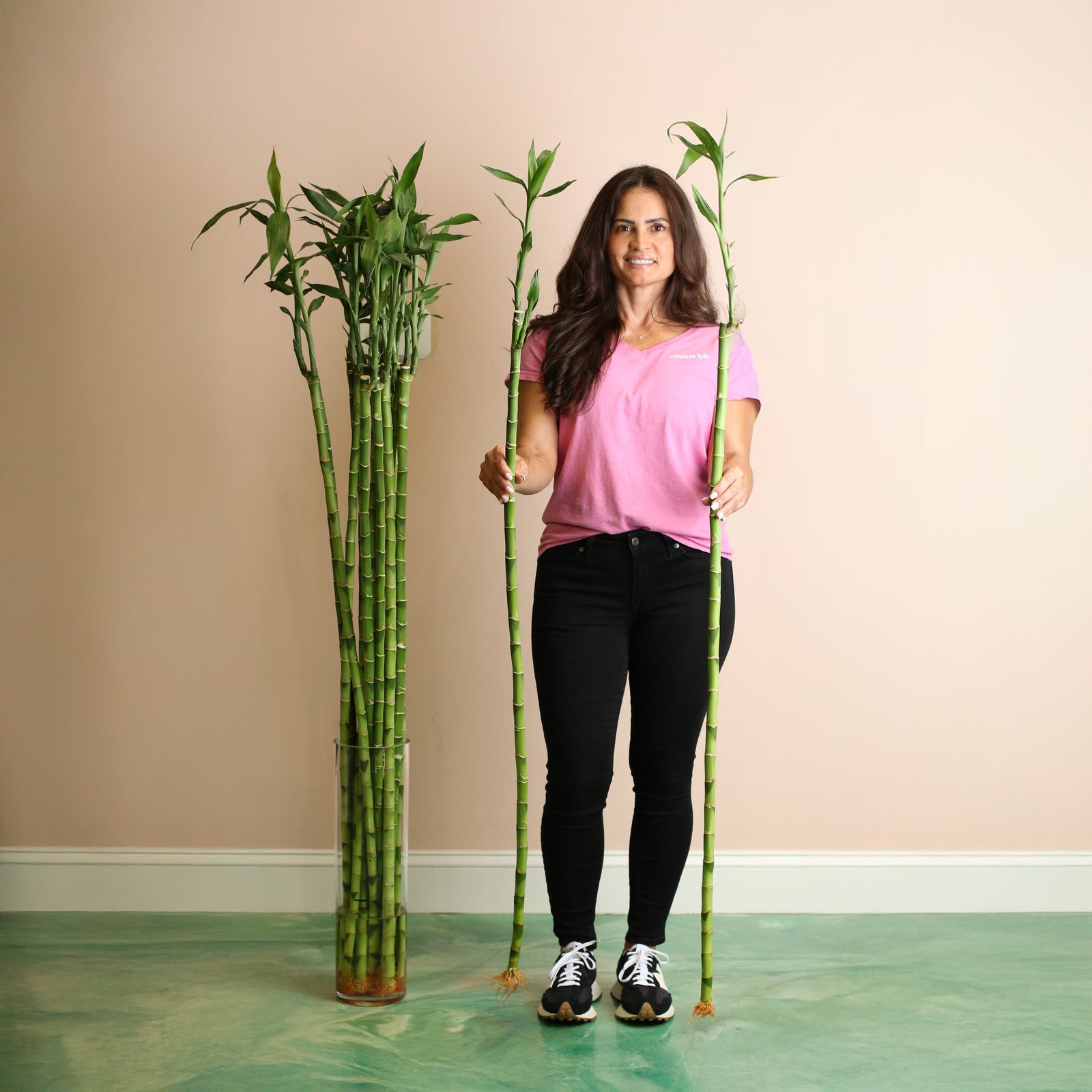 2XL Lucky Bamboo Water Plant next to 5' 2" Model.