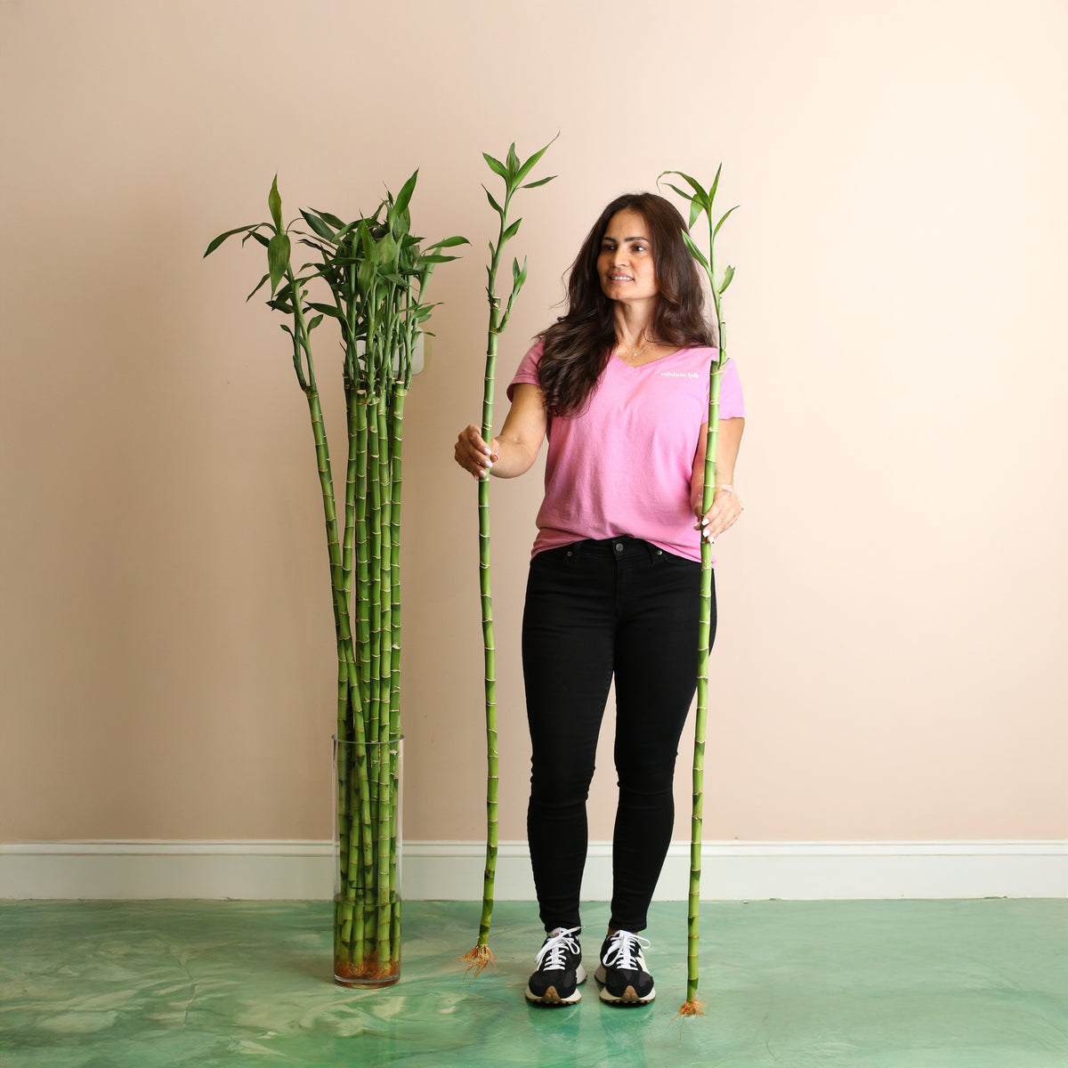 2XL Lucky Bamboo Water Plant next to 5' 2" Model.