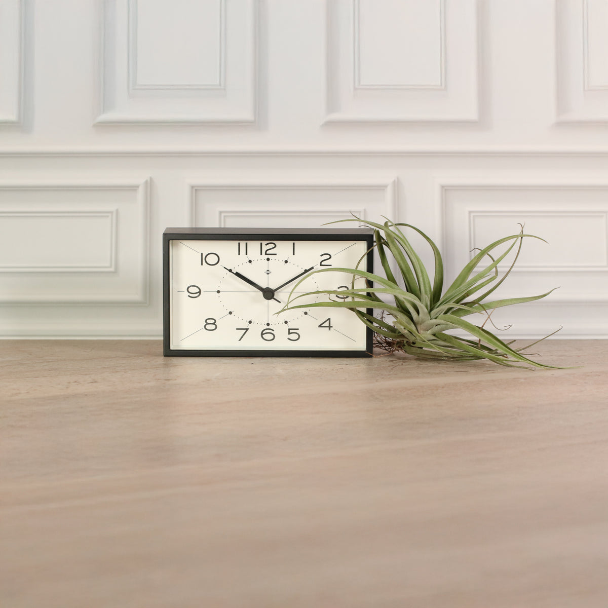 Small Air Plant Tillandsia Capitata Peach