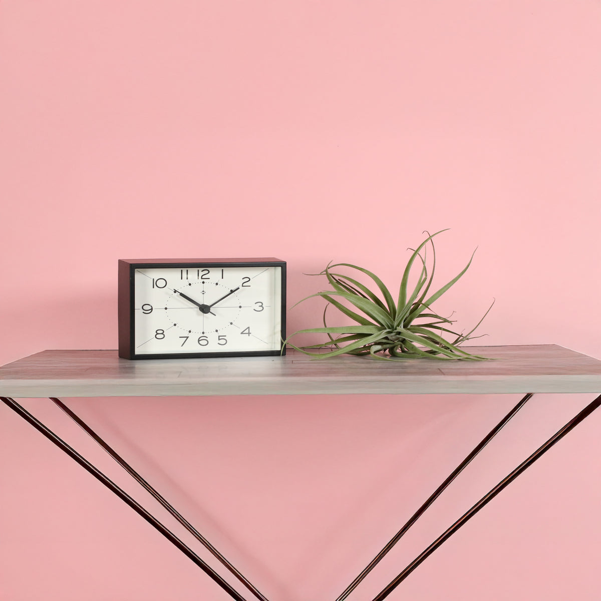 Small Air Plant Tillandsia Capitata Peach next to clock.