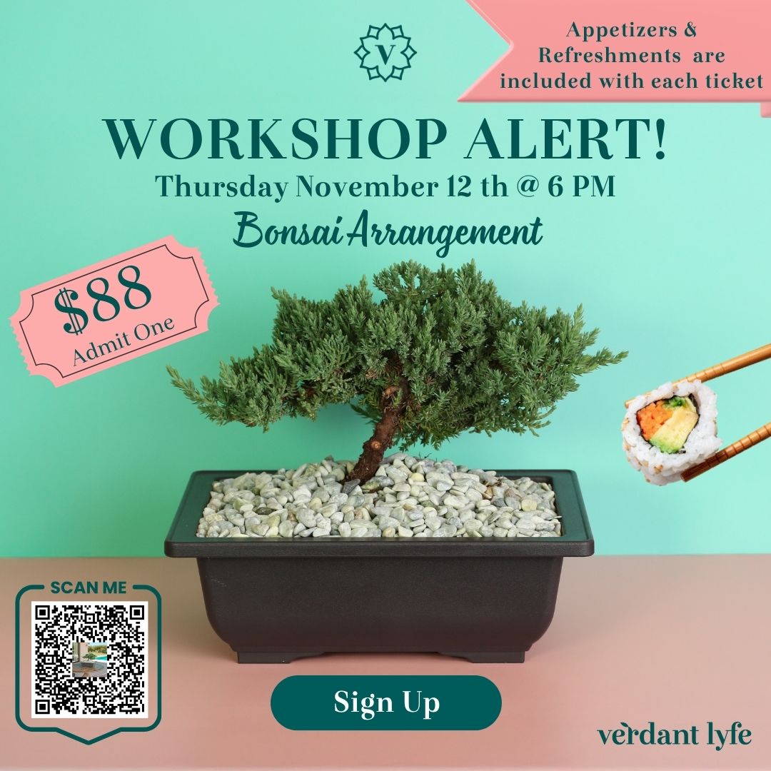 files/Bonsai-Plant-Workshop-Alert.jpg
