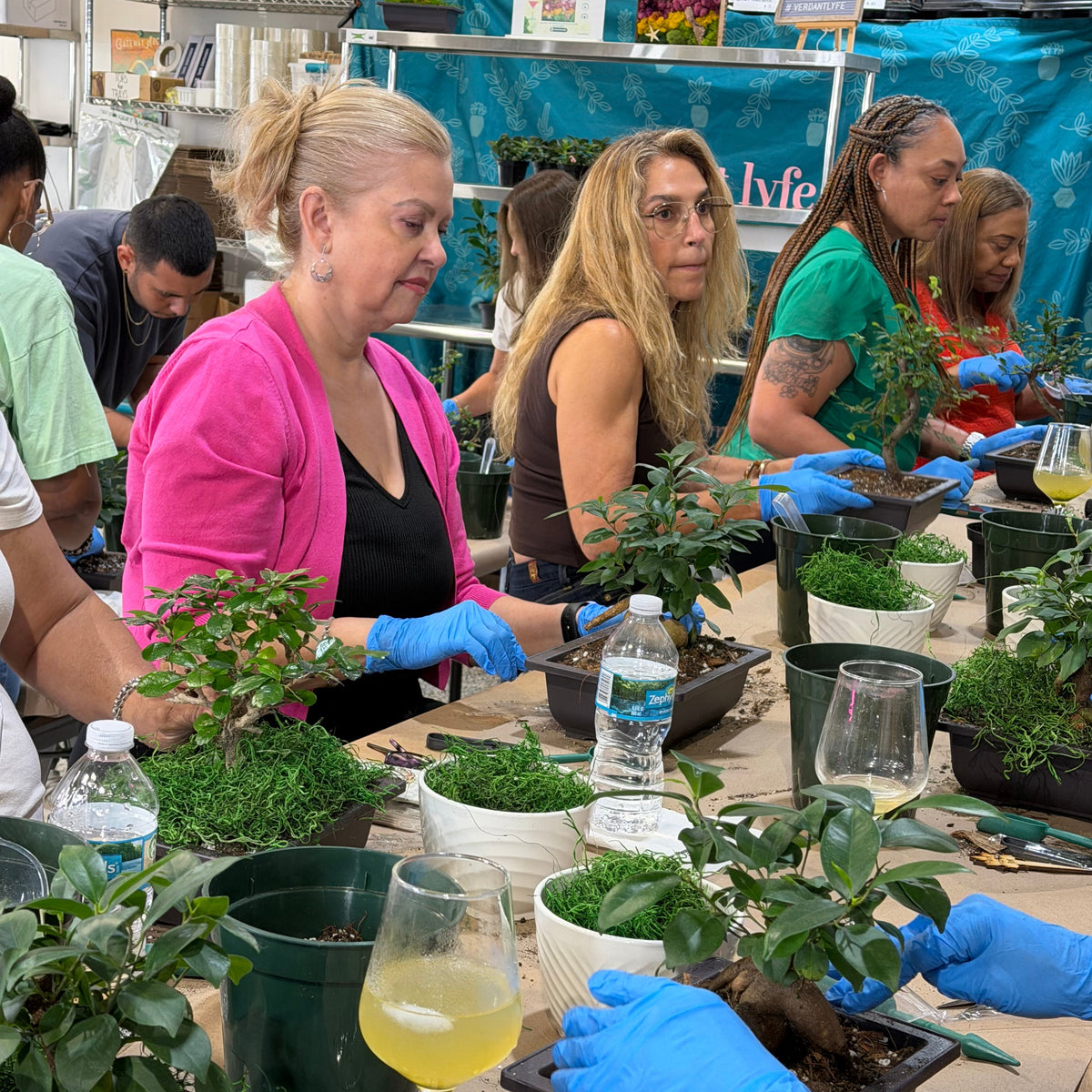Bonsai Workshop - November 12th at 6 PM