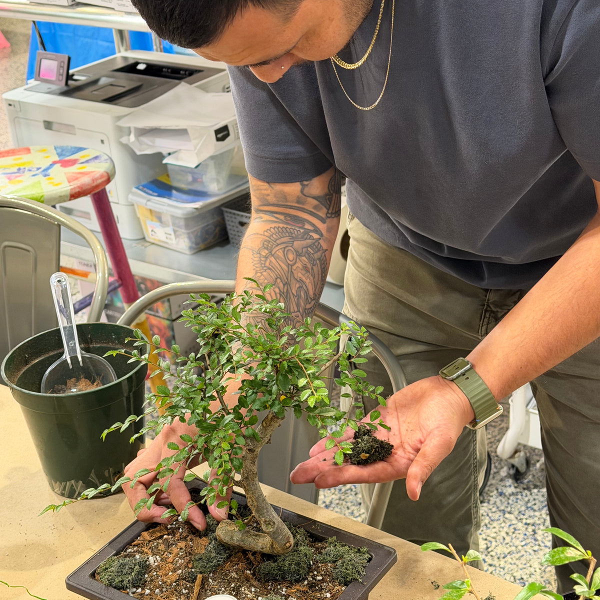 Bonsai Workshop - November 12th at 6 PM