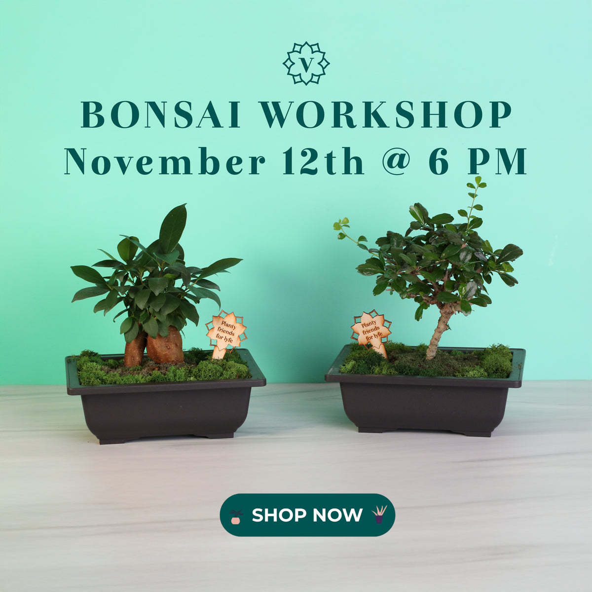 Bonsai Workshop - November 12th at 6 PM