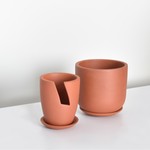 Nia & Whitney Terracotta Pot Bundle