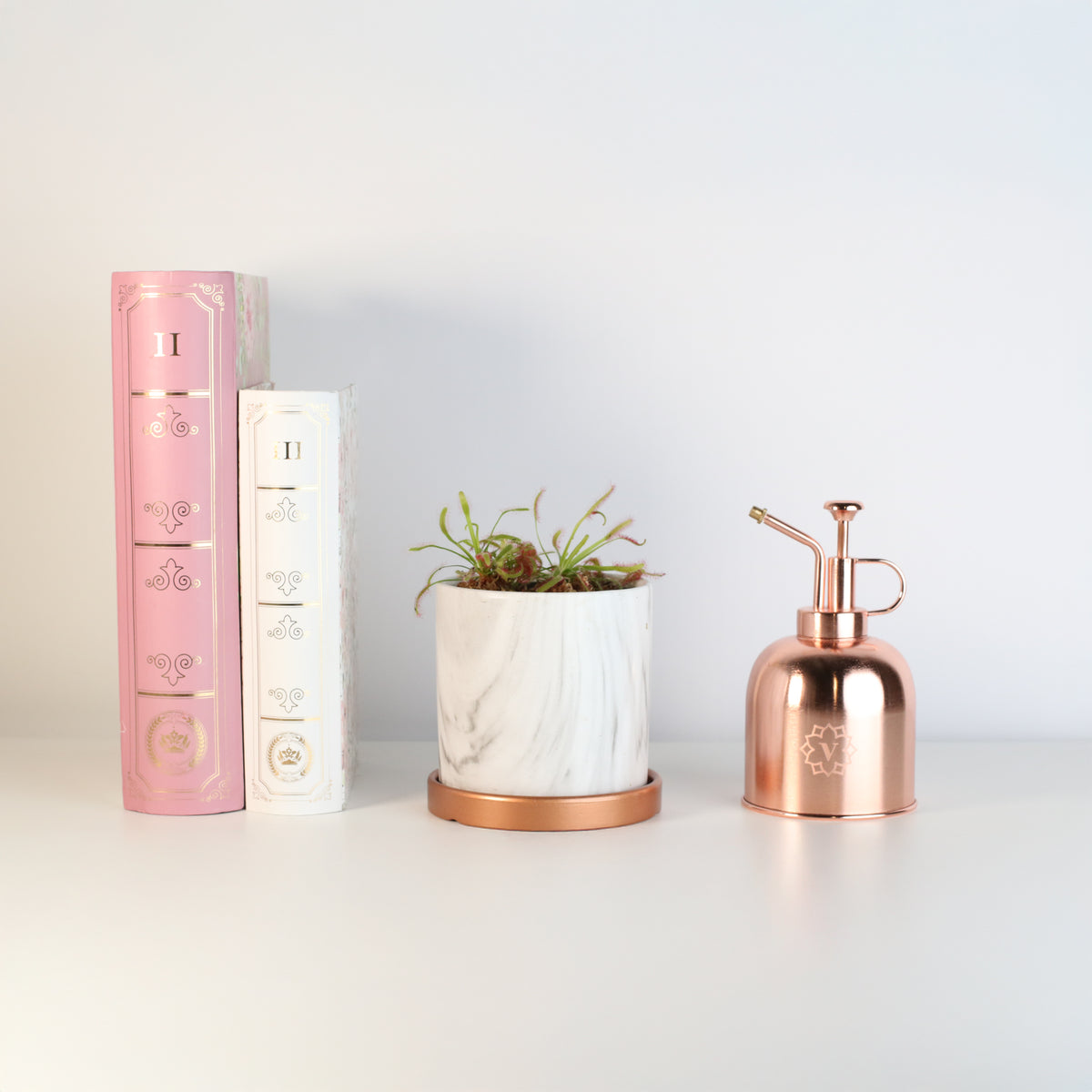 Cape Drosera Sundew in Daphne 4.5" Planer next to books and water mister. 