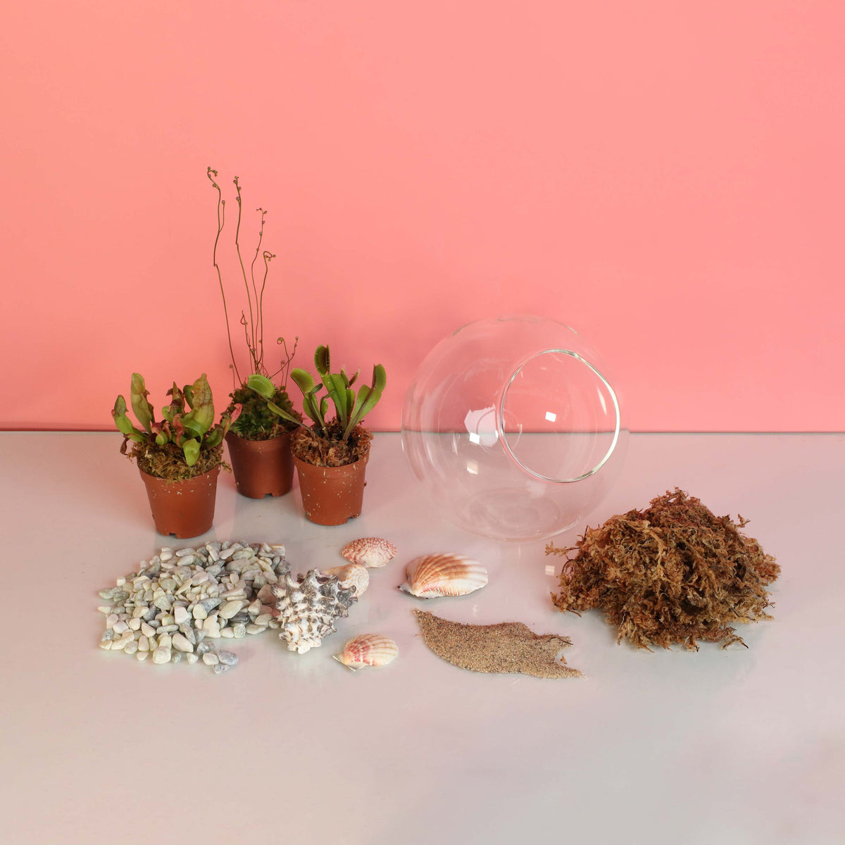 Terrarium Workshop - Thursday, TBD, 2026 at 6:00 pm