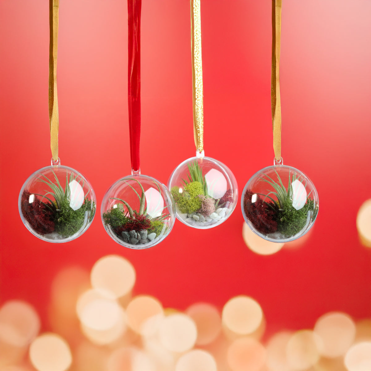 Christmas Air Plant Ornament