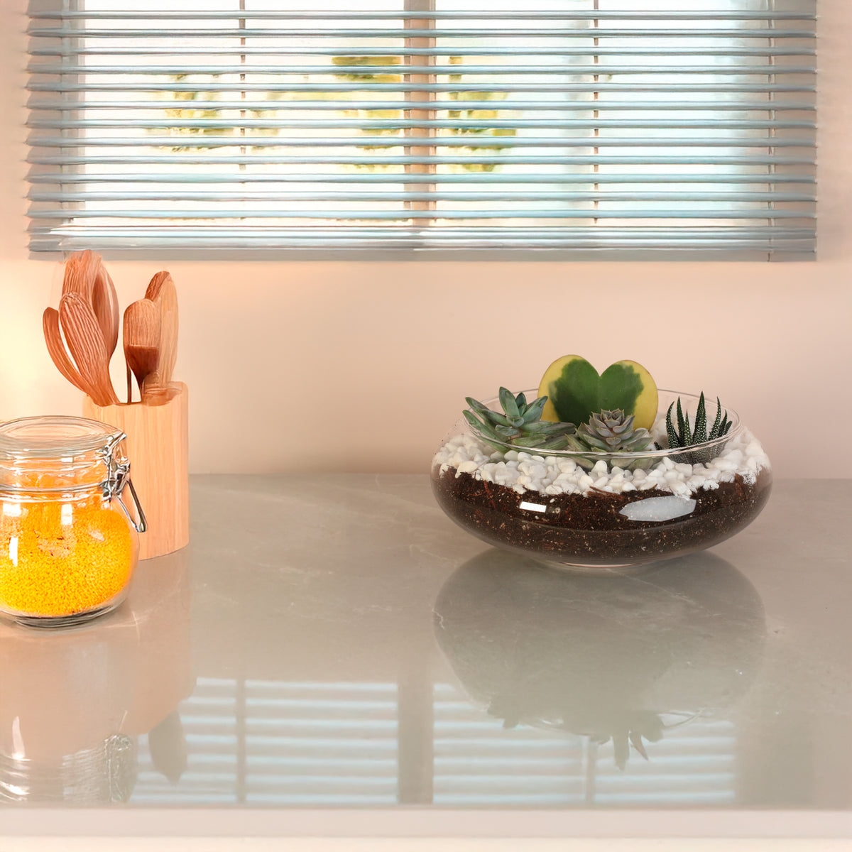 Hoya Kerrii Heart with 3 Succulents in terrarium in kitchen. 