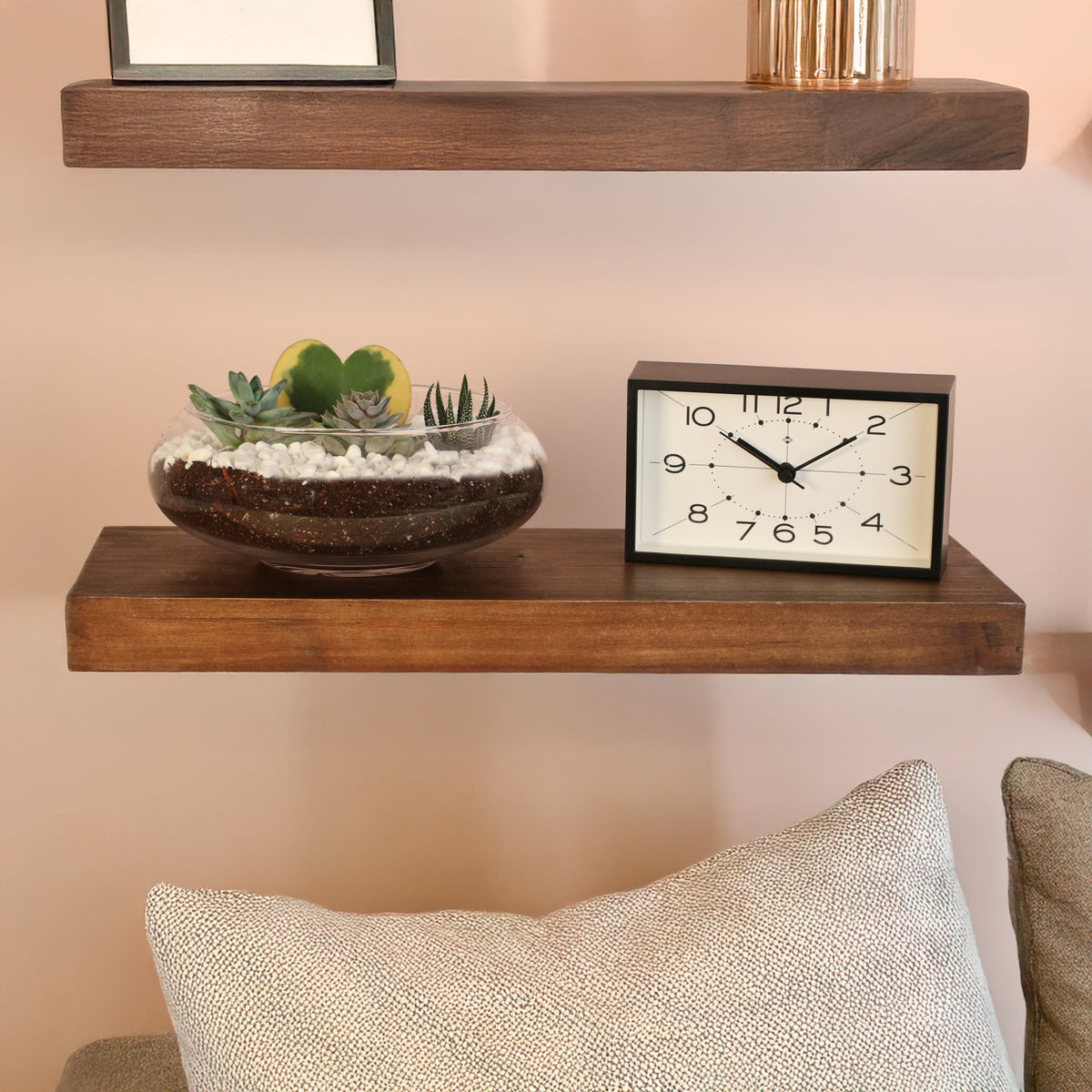 Hoya Kerrii Heart with 3 Succulents