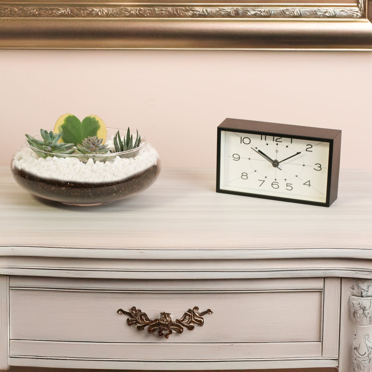 Terrarium on top of dresser.  