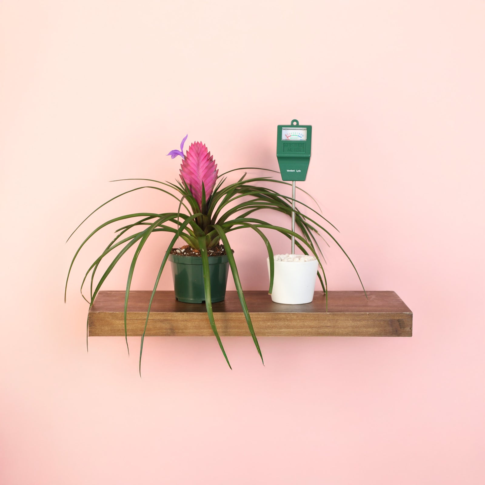 Mom's Verdant Luxe Duo Bundle