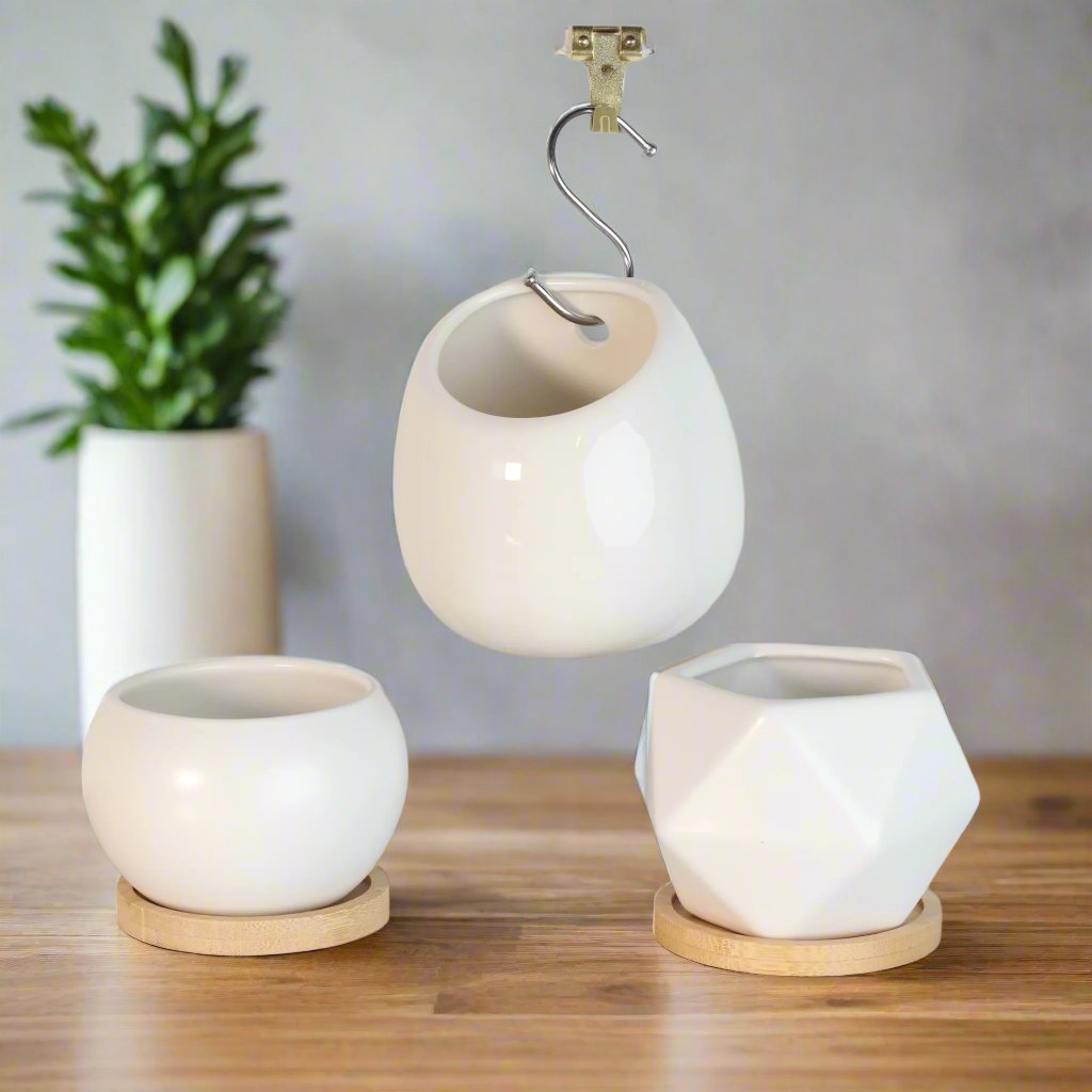 Minimalistic Ceramic White Planter 