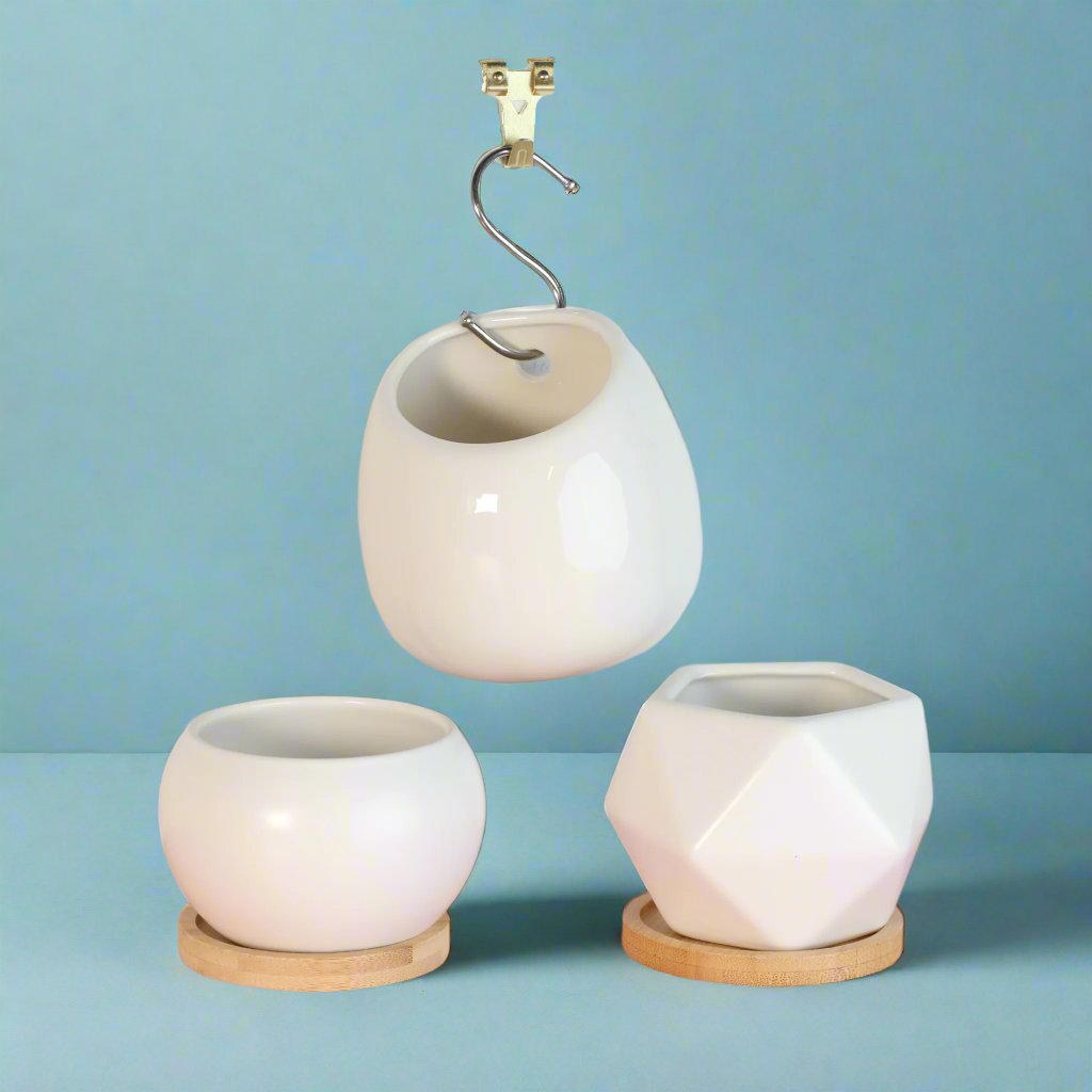 Minimalistic Ceramic White Planter 
