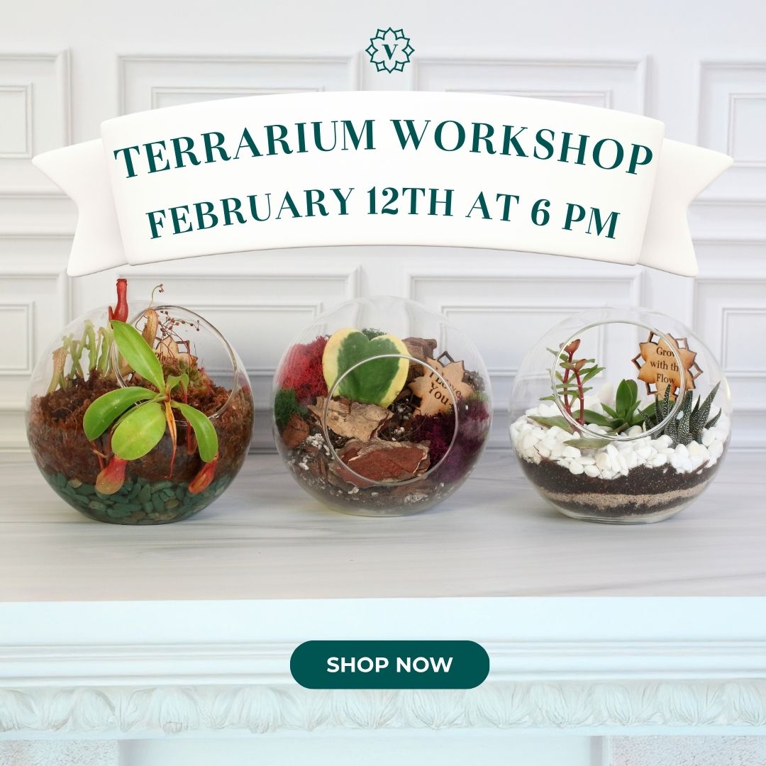 files/February12thWorkshopTerrarium.jpg