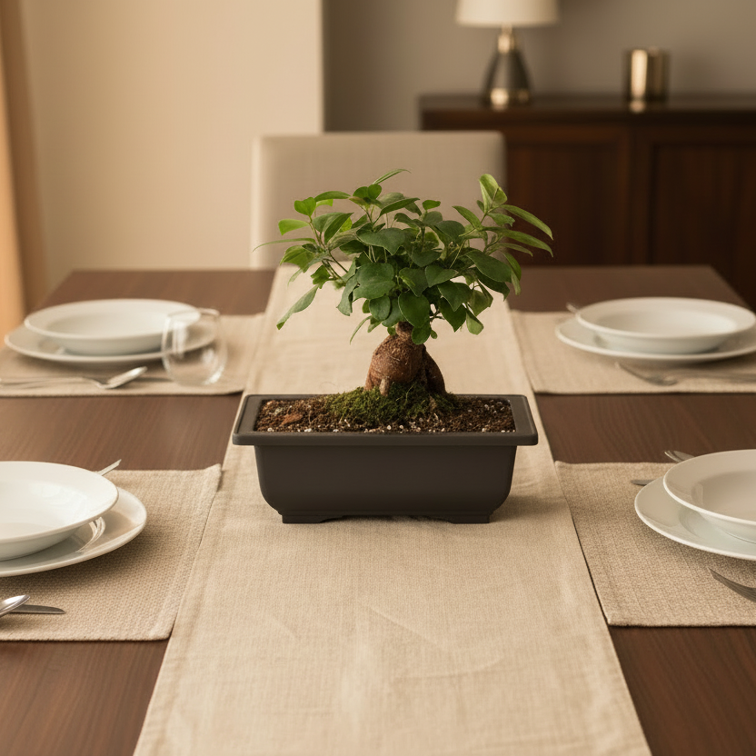 Ficus Ginseng Bonsai