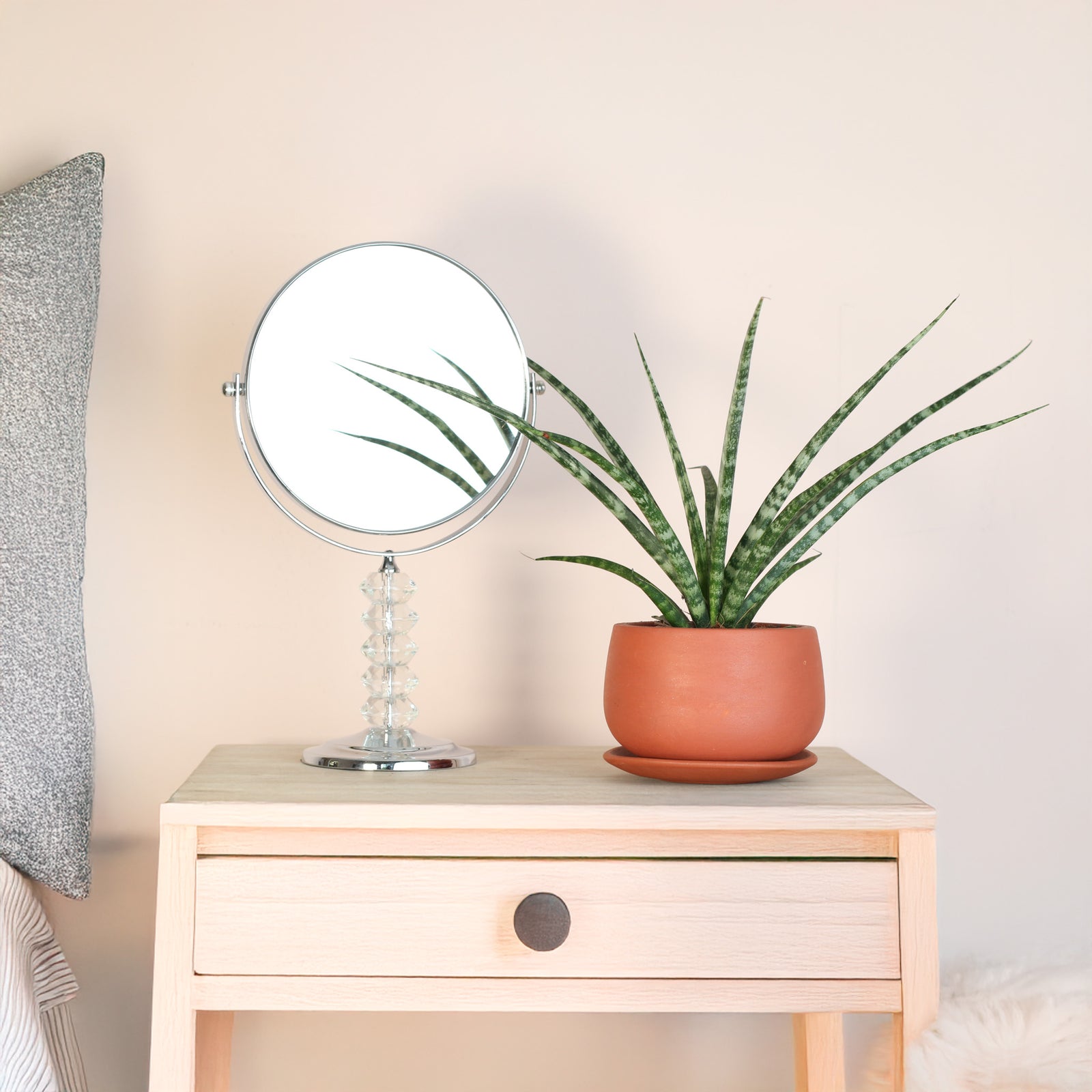 Sansevieria Fernwood