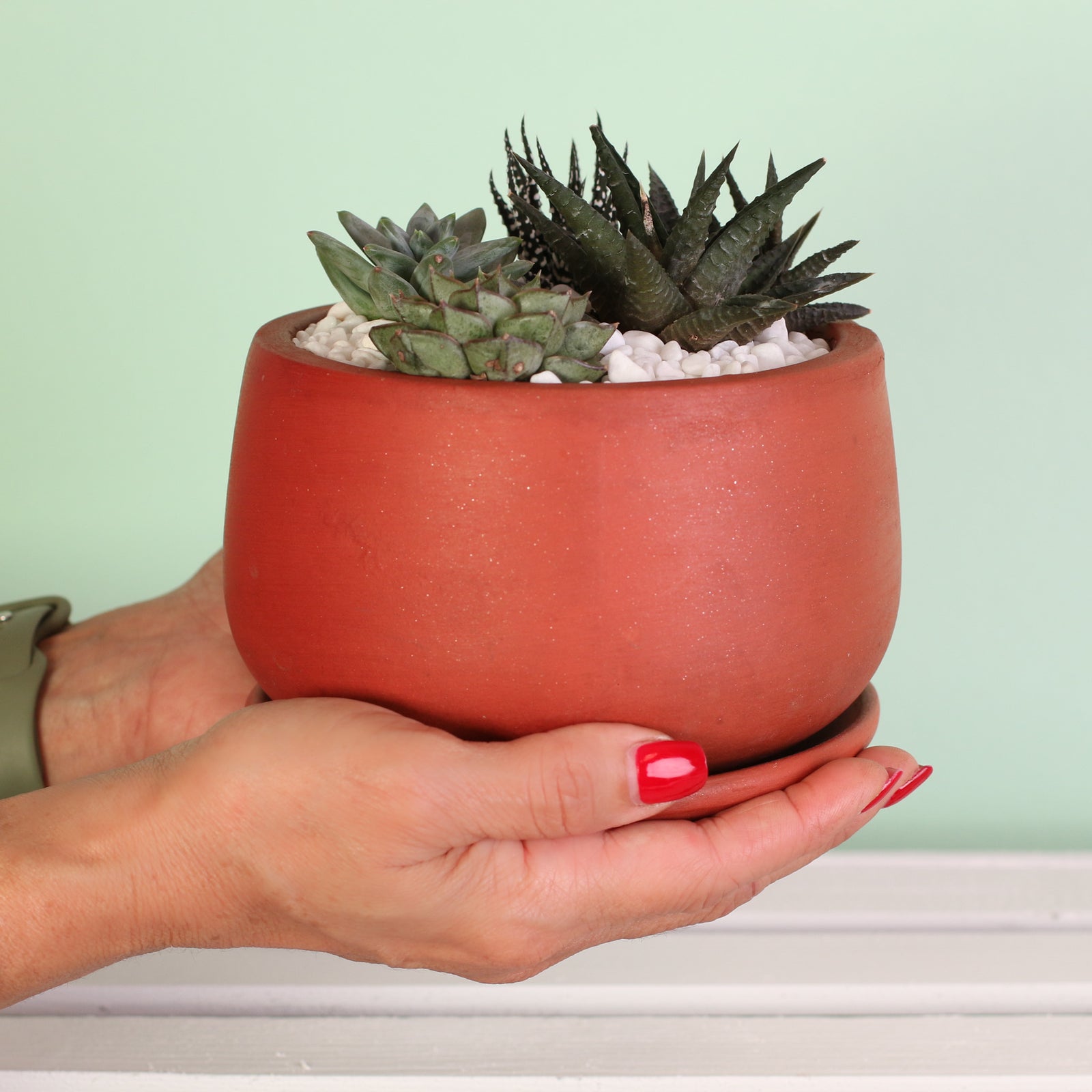 Green Escape Terracotta Creation DIY in hand