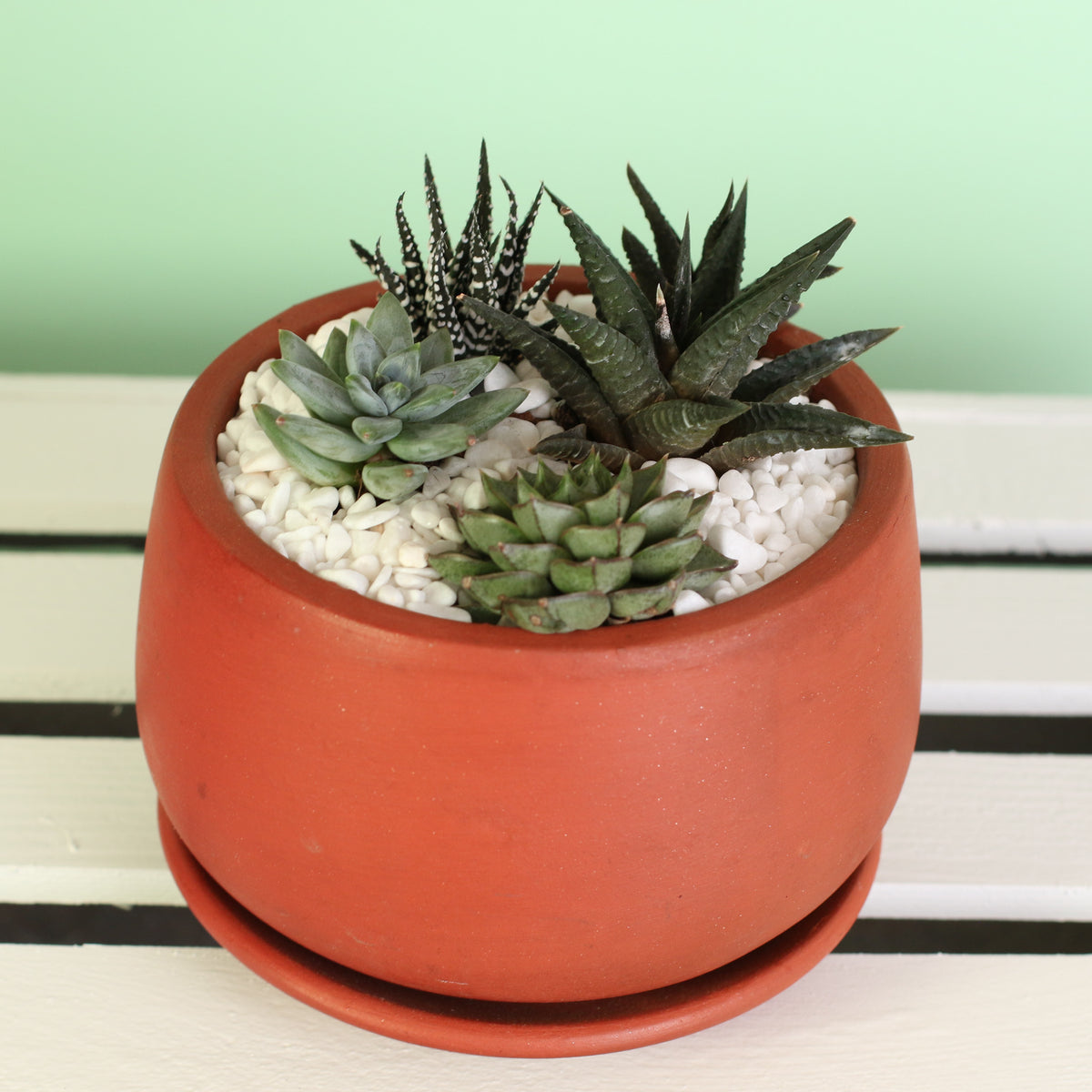 Top View of Green Escape Terracotta Creation DIY in hand