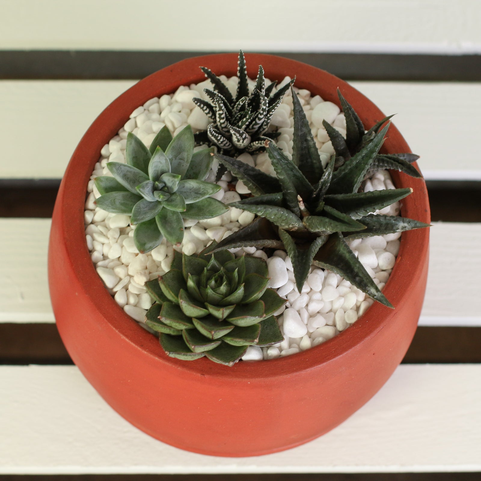 Green Escape Terracotta Creation DIY in hand