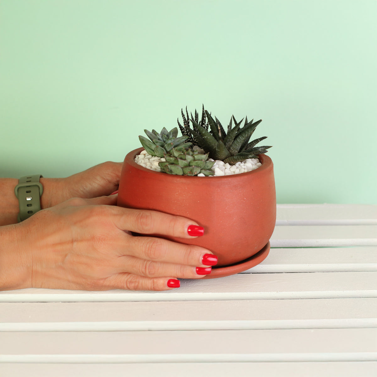 Green Escape Terracotta Creation DIY in hand
