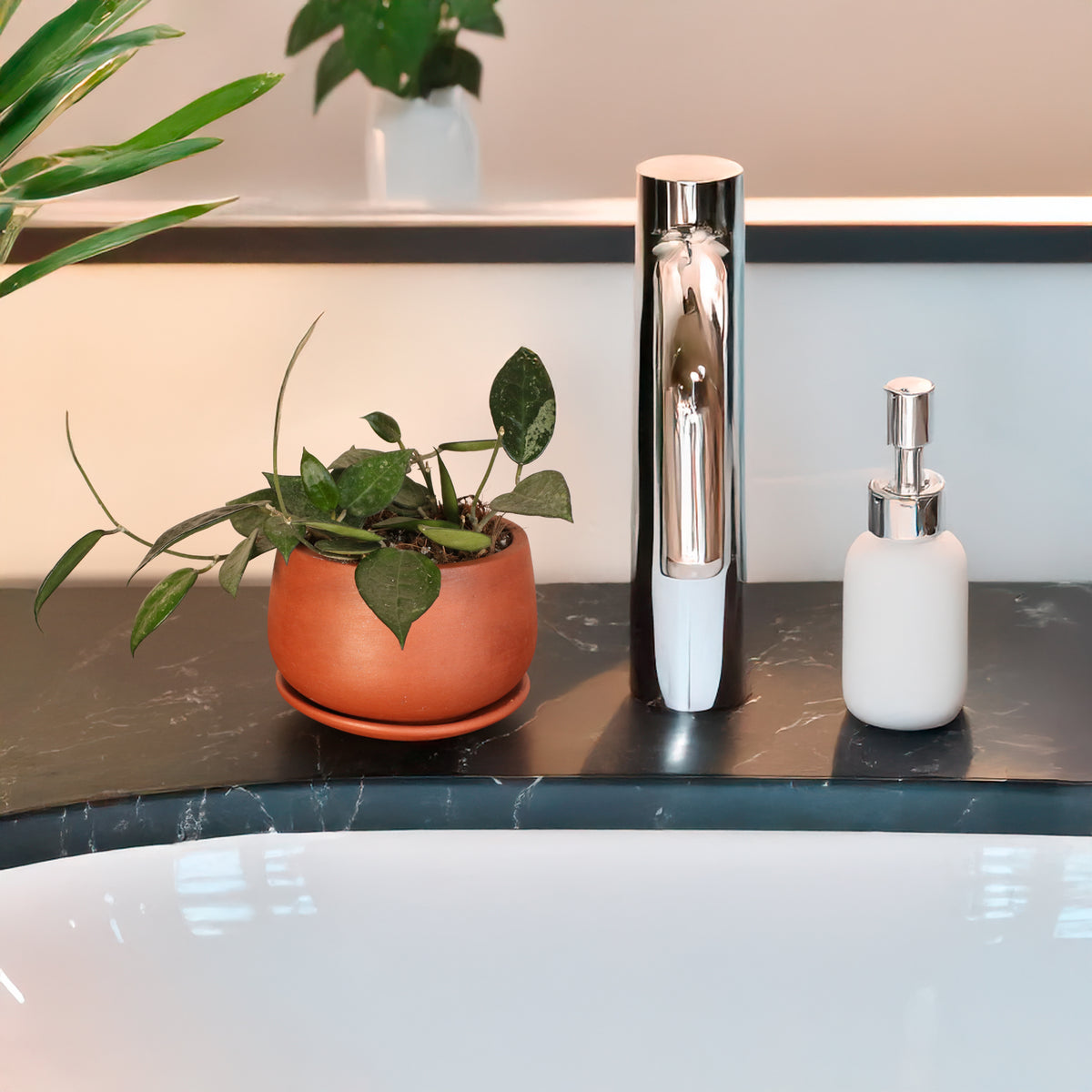 Hoya Black Margin next to bathroom sink