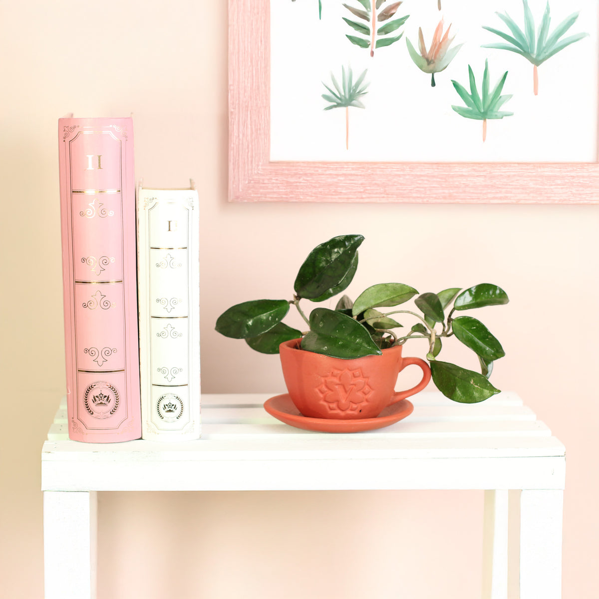 Jade Hoya Wax Plant on table top next to books. 