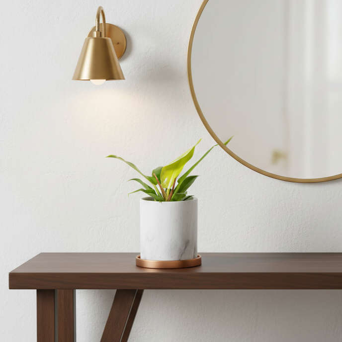 Philodendron 'Moonlight' Hybrid Lime Green Plant