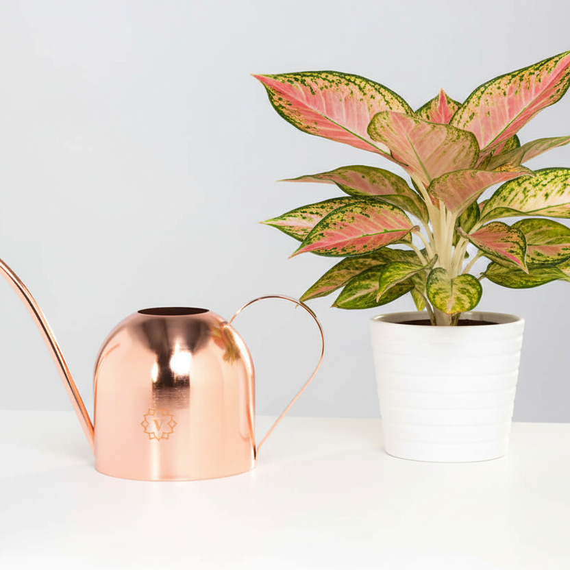 Lyfe Watering Can Signature Rose Gold