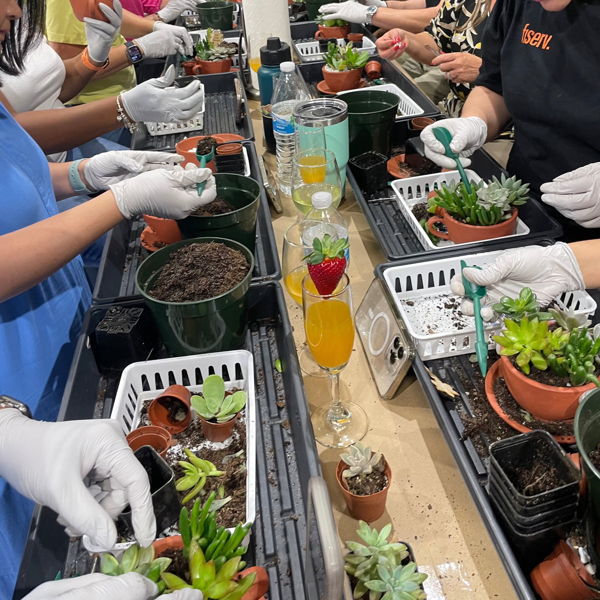 Succulent Arrangement Workshop - Thursday, January 29th 2026, at 6:00 pm