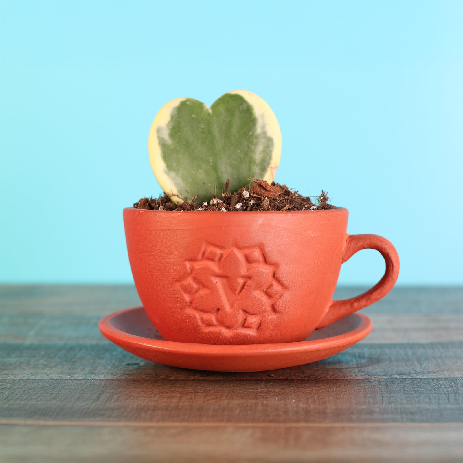 files/Kerrii-Heart-Variegated-Lyfe-Tea-Cup.jpg